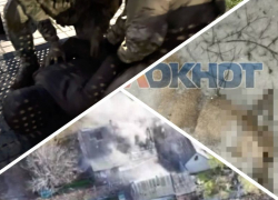 Новости Запорожья: ФСБ задержала шпионов ВСУ, освобождение Жовтневого и трупы собак возле церкви