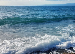 Экологический кризис в Азовском море: ученые раскрыли, что именно приближает катастрофу