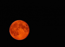 Удивительную кровавую Луну смогут увидеть жители Запорожской области