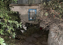 Появилось фото выгребной ямы уличного туалета, где нашли труп мужчины в Мелитополе 