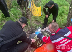 Больной маразмом запорожец почти неделю жил в лесу