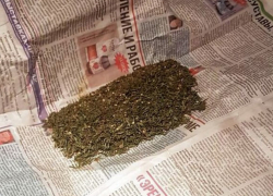 Житель Днепрорудного два года прятал в своем доме более 6 гр конопли