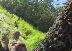 Появилось предсмертное видео ликвидации ДРГ ВСУ в Запорожье