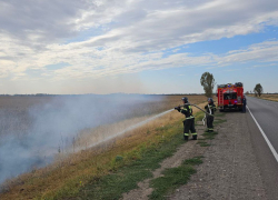 Особый противопожарный режим введен в Запорожской области