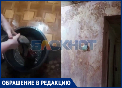Многодетная семья задыхается от плесени после протечек крыши дома в Михайловке