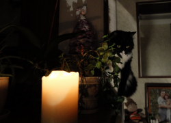 Стало известно, где в Мелитополе отключат свет 14 августа