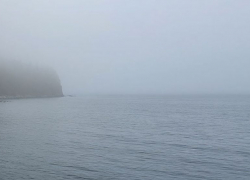 Штормовое предупреждение из-за тумана объявлено в Запорожской области