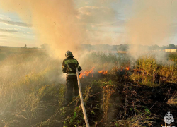 Костры строго запретили разжигать в Запорожской области 5 октября