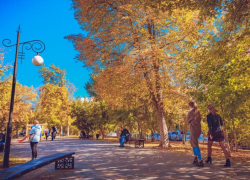 Последняя неделя ноября порадует жителей Запорожской области теплой погодой