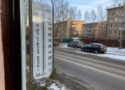 Заморозки спрогнозировали в Запорожской области