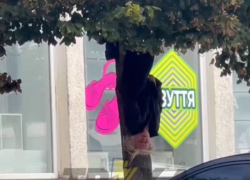 «Мышь летучая»: пенсионерка залезла на дерево и повисла вниз головой в Запорожье