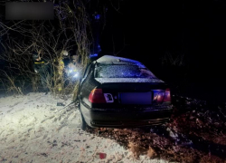 BMW на полной скорости влетел в дерево в Запорожье