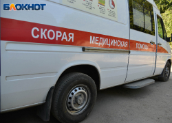 Женщина погибла от минно-взрывных травм после обстрела ВСУ Каменки-Днепровской