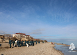 Спасатели и волонтёры очистили 30% загрязнённого мазутом участка Бердянской косы