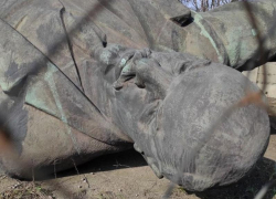 В Запорожье не могут найти покупателя огромной скульптуры Ленина за 10,4 млн рублей