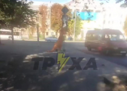 Рассекающий по улицам на самокате динозавр попал на видео в Запорожье