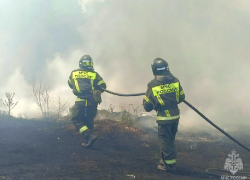 В Запорожской области настрого запретили разводить костры