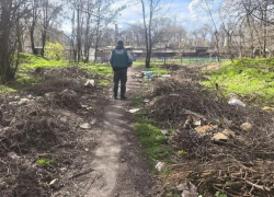 Экологи дали запорожским властям меньше недели на уборку мусора