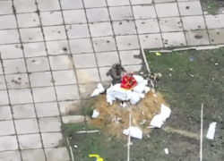 Бойцы ВС РФ показали на видео, как накрыли памятник Махно знаменем бригады в Гуляйполе