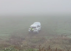 Двое детей попали в больницу после страшной аварии на трассе М-14 в Мелитополе