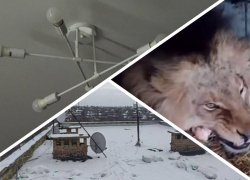 Новости Запорожья: военные разминируют земли для ремонта света, потоп из-за дырявой крыши и «воскрешение» льва