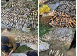 В Запорожье браконьер наловил 210 килограмм рыбы на 2 миллиона рублей