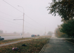 Плотный туман накрыл Запорожскую область утром 21 декабря