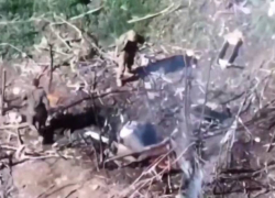 Дмитрий Рогозин показал эпичное видео уничтожения расчёта РЭБ ВСУ