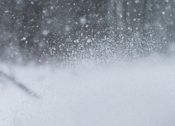 Штормовое предупреждение объявлено из-за сильного ветра и метели в Запорожской области
