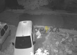 Ночного мстителя, прокалывающего шины соседям, сняли на видео в Запорожье