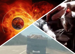 Новости Запорожья: ВСУ запаниковали из-за наступа ВС РФ, спасение бойца кошкой и неожиданная магнитная буря