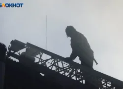 Женщина погибла на пожаре в Мелитополе