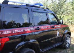СК РФ займётся расследованием удара дрона ВСУ по двум женщинам под Васильевкой