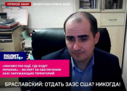 Доцент СевГУ Браславский: совместное управление ЗАЭС не имеет ничего общего с интересами России