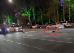 СК начал проверку версии о втором виновном в гибели Лизы Мелиховой в Мелитополе