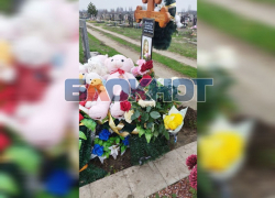 Как выглядит могила сбитой экс-прокурором Поздеевым Лизы Мелиховой в Мелитополе спустя 3 месяца после ДТП