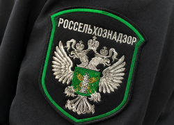 В двух кафе и столовой Мелитополя обнаружили мясо без документов