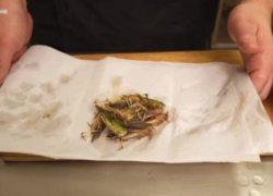 Блюда с запорожской саранчой начали готовить в заведениях Днепропетровска