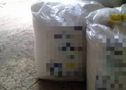 В Бердянске двое мужчин обворовали местное предприятие