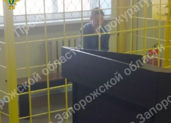 Фанатку Битцевского маньяка из Бердянска отправили в СИЗО на два месяца