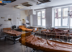 Три мирных жителя пострадали из-за удара ВСУ рядом с Васильевкой