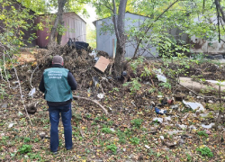 Экологи дали властям Запорожья месяц на уборку мусора возле многоэтажки