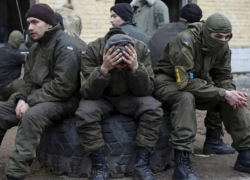 ТАСС: военные ВСУ на запорожском направлении считают себя брошенными