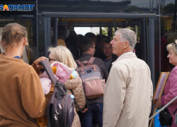 Запорожскую область и ДНР связал новый автобусный маршрут