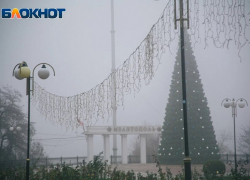 Почему последний рабочий день перед новогодними каникулами не сократят запорожцам