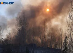 О высокой пожароопасности предупредили жителей Запорожской области