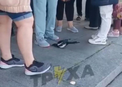 Нападение назойливой сороки на толпу людей сняли на видео в Запорожье
