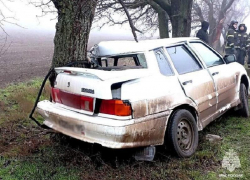 Водитель LADA попал в больницу после столкновения с деревом у села Семёновка под Мелитополем