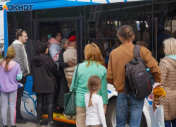 Назван срок приостановки движения автобусов в Пологовском округе на фоне угрозы атак ВСУ