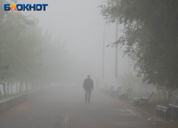 Туман накроет Запорожскую область утром 23 сентября